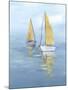 Golden Sail II-Isabelle Z-Mounted Art Print