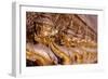 Golden sculptures of Garuda and Naga, Wat Phra Kaew (Temple of the Emerald Buddha), Bangkok-Godong-Framed Photographic Print