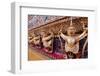 Golden sculptures of Garuda and Naga, Wat Phra Kaew (Temple of the Emerald Buddha), Bangkok-Godong-Framed Photographic Print