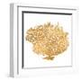 Golden Sea Fan I (gold foil)-Jairo Rodriguez-Framed Art Print