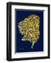 Golden Sea Fan-Albert Koetsier-Framed Art Print