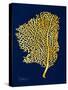 Golden Sea Fan-Albert Koetsier-Stretched Canvas