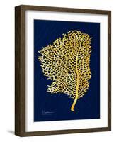 Golden Sea Fan-Albert Koetsier-Framed Art Print