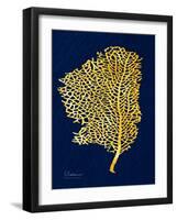 Golden Sea Fan-Albert Koetsier-Framed Art Print