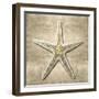 Golden Sea Life I-Caroline Kelly-Framed Art Print