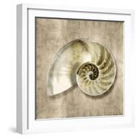 Golden Sea Life IV-Caroline Kelly-Framed Art Print