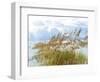 Golden Sea Oats Waving in the Breach on a Pristine Beach in Pensacola, Florida-forestpath-Framed Photographic Print