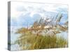 Golden Sea Oats Waving in the Breach on a Pristine Beach in Pensacola, Florida-forestpath-Stretched Canvas