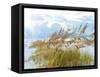 Golden Sea Oats Waving in the Breach on a Pristine Beach in Pensacola, Florida-forestpath-Framed Stretched Canvas