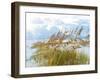 Golden Sea Oats Waving in the Breach on a Pristine Beach in Pensacola, Florida-forestpath-Framed Photographic Print