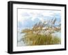 Golden Sea Oats Waving in the Breach on a Pristine Beach in Pensacola, Florida-forestpath-Framed Photographic Print