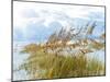 Golden Sea Oats Waving in the Breach on a Pristine Beach in Pensacola, Florida-forestpath-Mounted Photographic Print