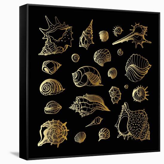 Golden Sea Shell. Collection of Seashells-Katya Ulitina-Framed Stretched Canvas