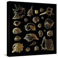 Golden Sea Shell. Collection of Seashells-Katya Ulitina-Stretched Canvas