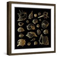 Golden Sea Shell. Collection of Seashells-Katya Ulitina-Framed Art Print