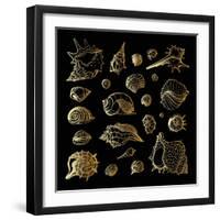 Golden Sea Shell. Collection of Seashells-Katya Ulitina-Framed Art Print