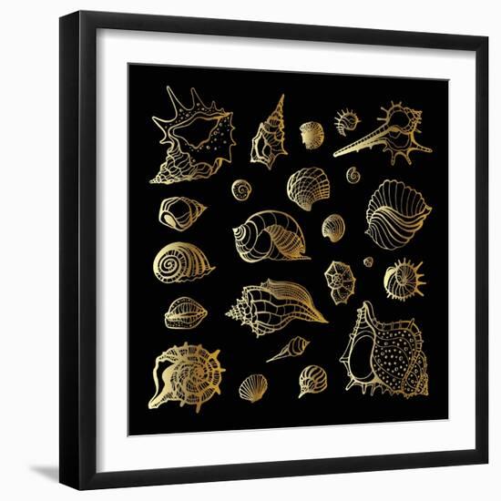 Golden Sea Shell. Collection of Seashells-Katya Ulitina-Framed Art Print