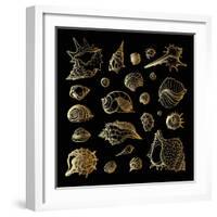 Golden Sea Shell. Collection of Seashells-Katya Ulitina-Framed Art Print