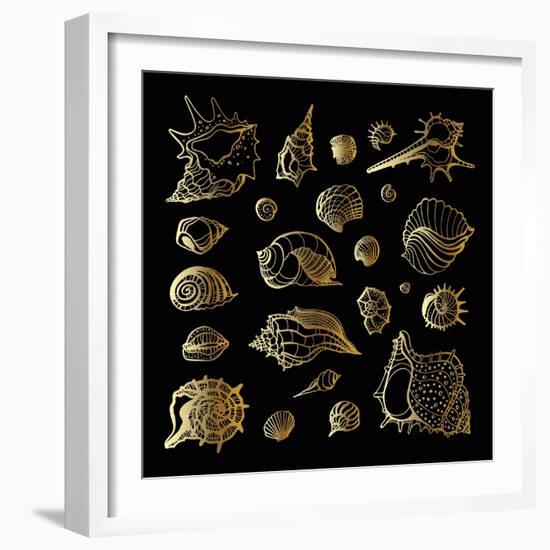 Golden Sea Shell. Collection of Seashells-Katya Ulitina-Framed Art Print