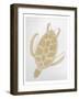 Golden Sea Turtle-Pam Varacek-Framed Art Print