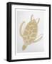 Golden Sea Turtle-Pam Varacek-Framed Art Print