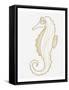 Golden Seahorse-Pam Varacek-Framed Stretched Canvas