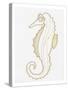 Golden Seahorse-Pam Varacek-Stretched Canvas