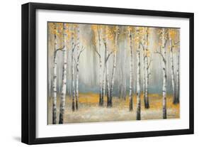 Golden September Birch-Michael Marcon-Framed Art Print