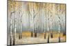 Golden September Birch-Michael Marcon-Mounted Art Print