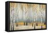 Golden September Birch-Michael Marcon-Framed Stretched Canvas