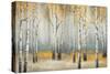 Golden September Birch-Michael Marcon-Stretched Canvas