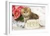 Golden Shaded Persian Kitten in Pot-null-Framed Photographic Print