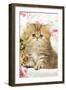 Golden Shaded Persian Kitten-null-Framed Photographic Print