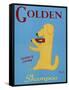 Golden Shampoo-Ken Bailey-Framed Stretched Canvas