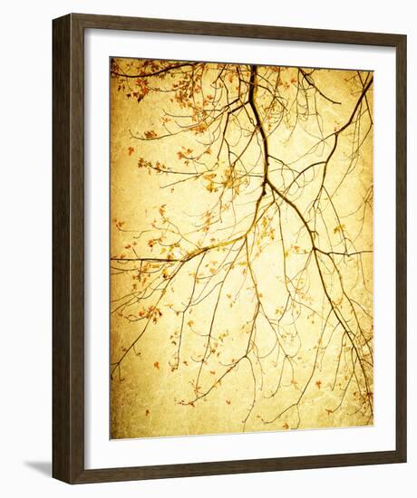 Golden Shimmer-Irene Suchocki-Framed Giclee Print