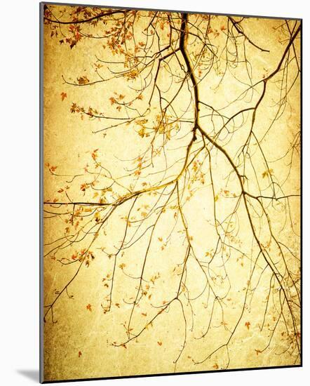 Golden Shimmer-Irene Suchocki-Mounted Giclee Print