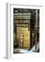 Golden Shrine of the Egyptian Pharoah Tutankhamun, C1325 Bc-null-Framed Photographic Print