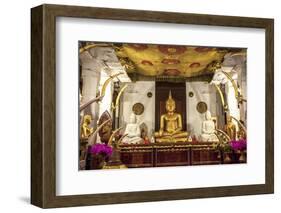 Golden Sitting Buddhist Statue-Charlie-Framed Photographic Print