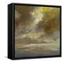 Golden Sky III-Sheila Finch-Framed Stretched Canvas