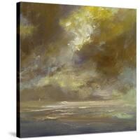 Golden Sky III-Sheila Finch-Stretched Canvas