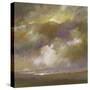 Golden Sky IV-Sheila Finch-Stretched Canvas