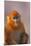 Golden Snub-Nosed Monkey-DLILLC-Mounted Premium Photographic Print