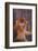 Golden Snub-Nosed Monkey-DLILLC-Framed Photographic Print