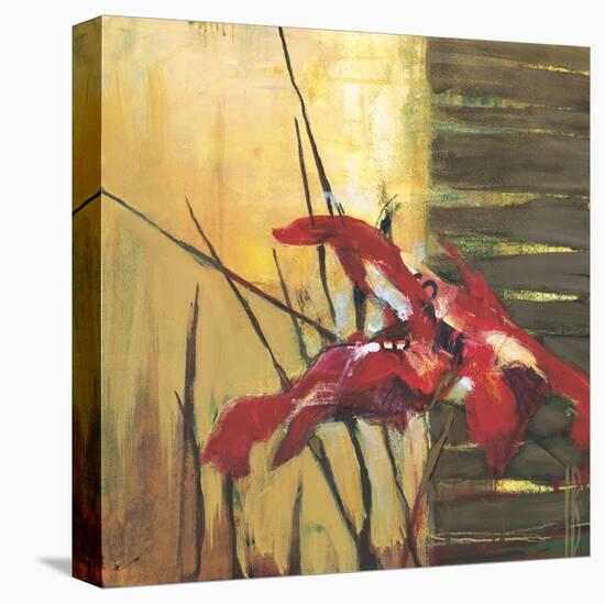 Golden Space II-Terri Burris-Stretched Canvas