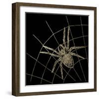 Golden Spider-Color Bakery-Framed Giclee Print