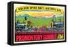 Golden Spike, Promontory Summit-null-Framed Stretched Canvas