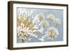 Golden Spring Blue Gray-James Wiens-Framed Art Print