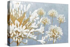 Golden Spring Blue Gray-James Wiens-Stretched Canvas