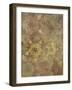 Golden Star Pattern-Cora Niele-Framed Giclee Print