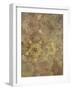 Golden Star Pattern-Cora Niele-Framed Giclee Print
